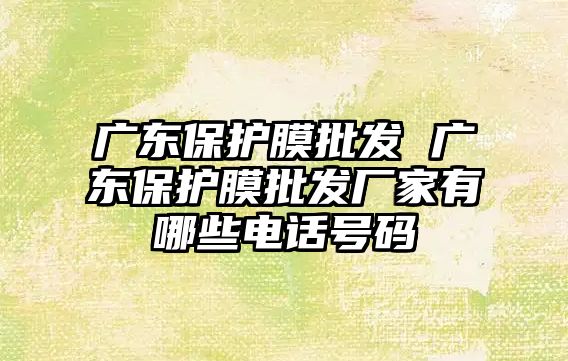 廣東保護膜批發 廣東保護膜批發廠家有哪些電話號碼