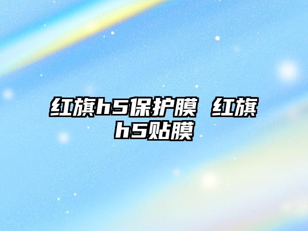 紅旗h5保護膜 紅旗h5貼膜