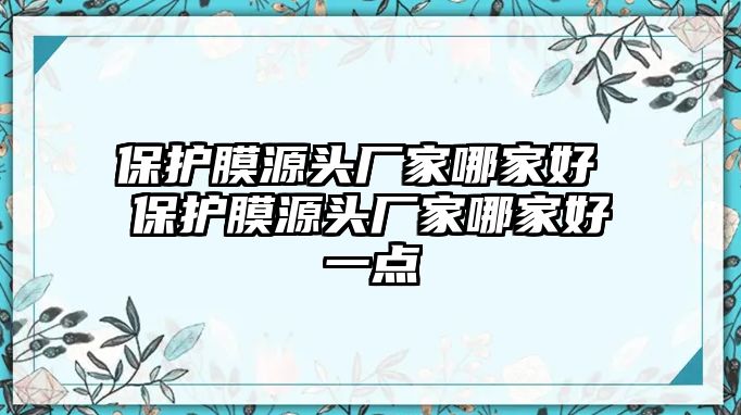 保護(hù)膜源頭廠家哪家好 保護(hù)膜源頭廠家哪家好一點(diǎn)