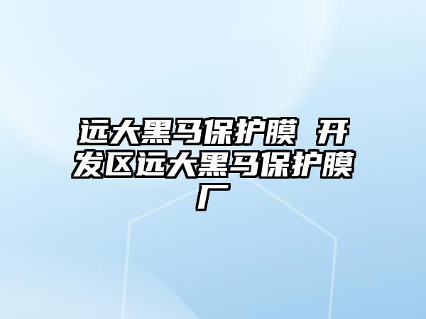 遠大黑馬保護膜 開發區遠大黑馬保護膜廠