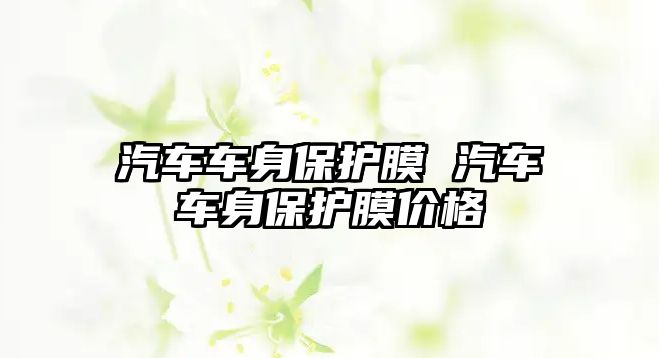 汽車車身保護膜 汽車車身保護膜價格