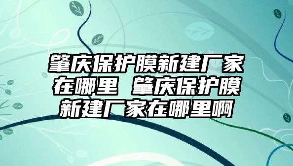 肇慶保護膜新建廠家在哪里 肇慶保護膜新建廠家在哪里啊