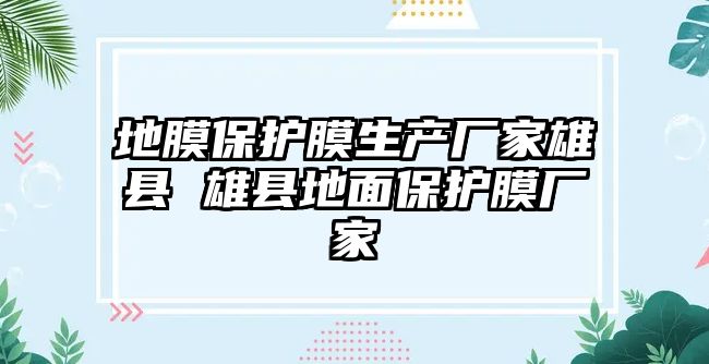 地膜保護膜生產廠家雄縣 雄縣地面保護膜廠家