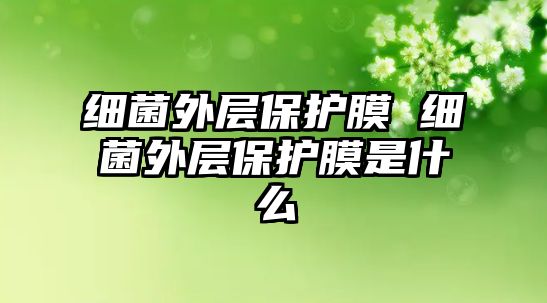 細菌外層保護膜 細菌外層保護膜是什么