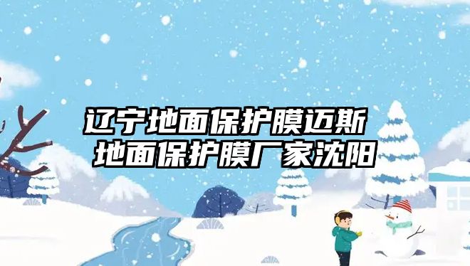 遼寧地面保護(hù)膜邁斯 地面保護(hù)膜廠家沈陽(yáng)