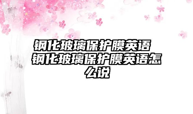 鋼化玻璃保護(hù)膜英語 鋼化玻璃保護(hù)膜英語怎么說