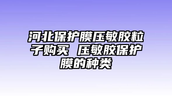 河北保護(hù)膜壓敏膠粒子購買 壓敏膠保護(hù)膜的種類