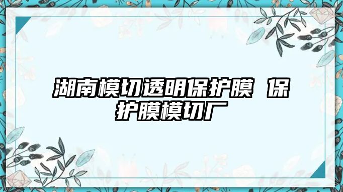 湖南模切透明保護膜 保護膜模切廠