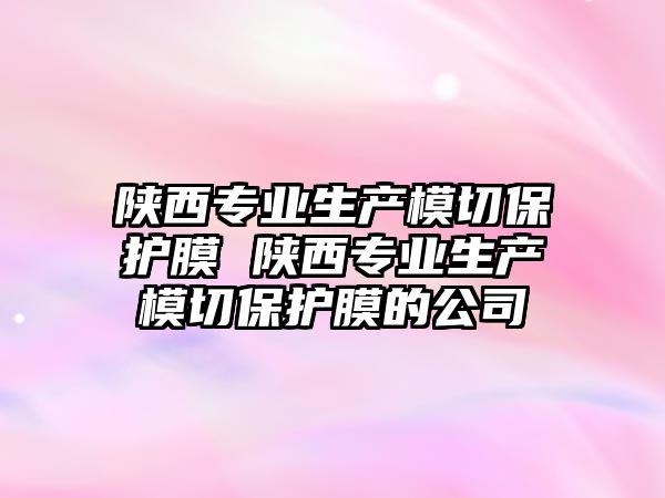 陜西專業生產模切保護膜 陜西專業生產模切保護膜的公司